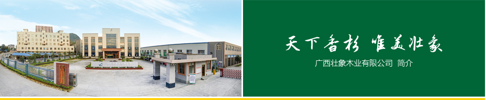 天下香杉，唯美壯象