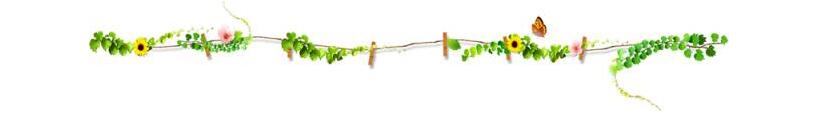 1499399319142090.jpg 分割線.jpg