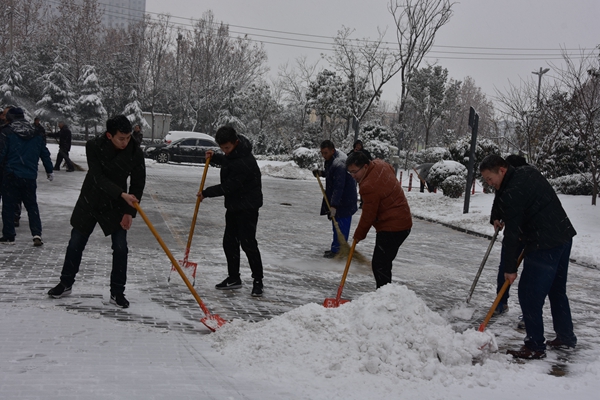 5.公司志愿者冒雪開展義務掃雪活動.jpg
