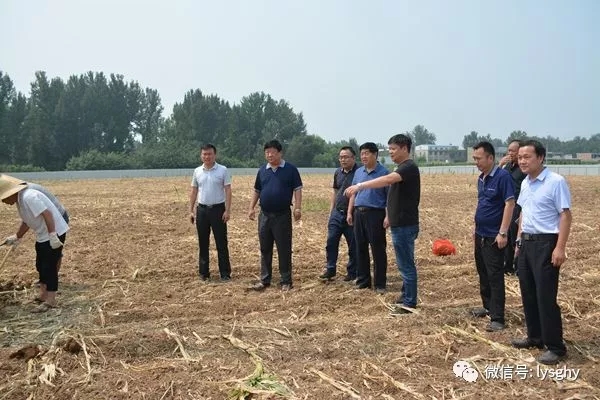 1532656571122700.jpg 640.webp (10).jpg