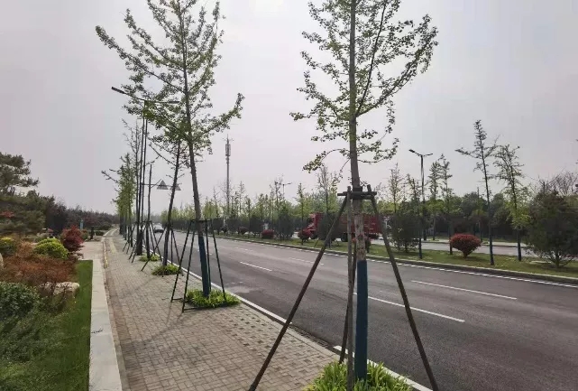 1618197216462763.jpg 1618197216462763.jpg