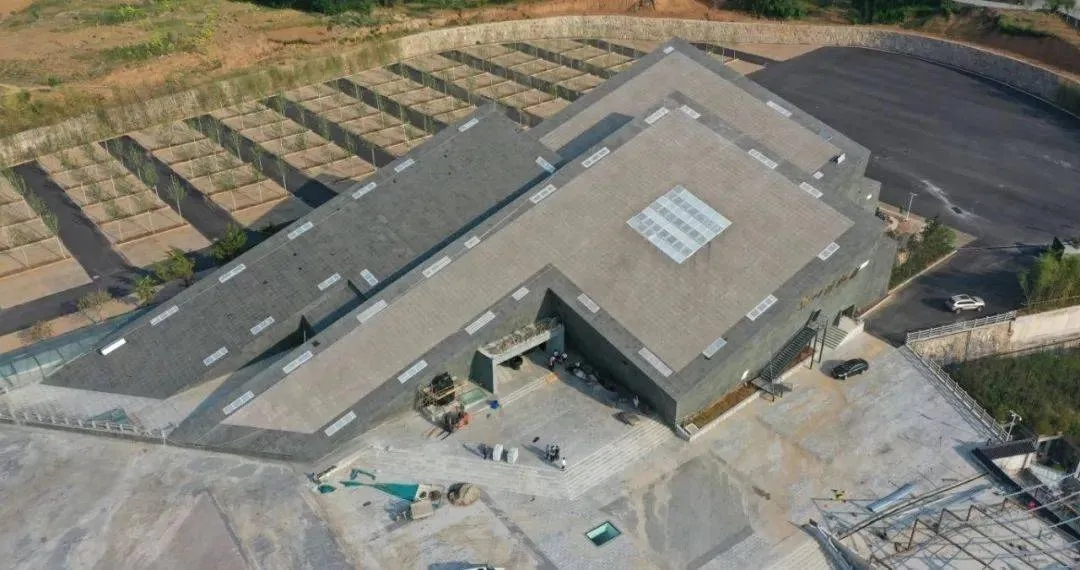 1624616842718845.jpg 1624616842718845.jpg