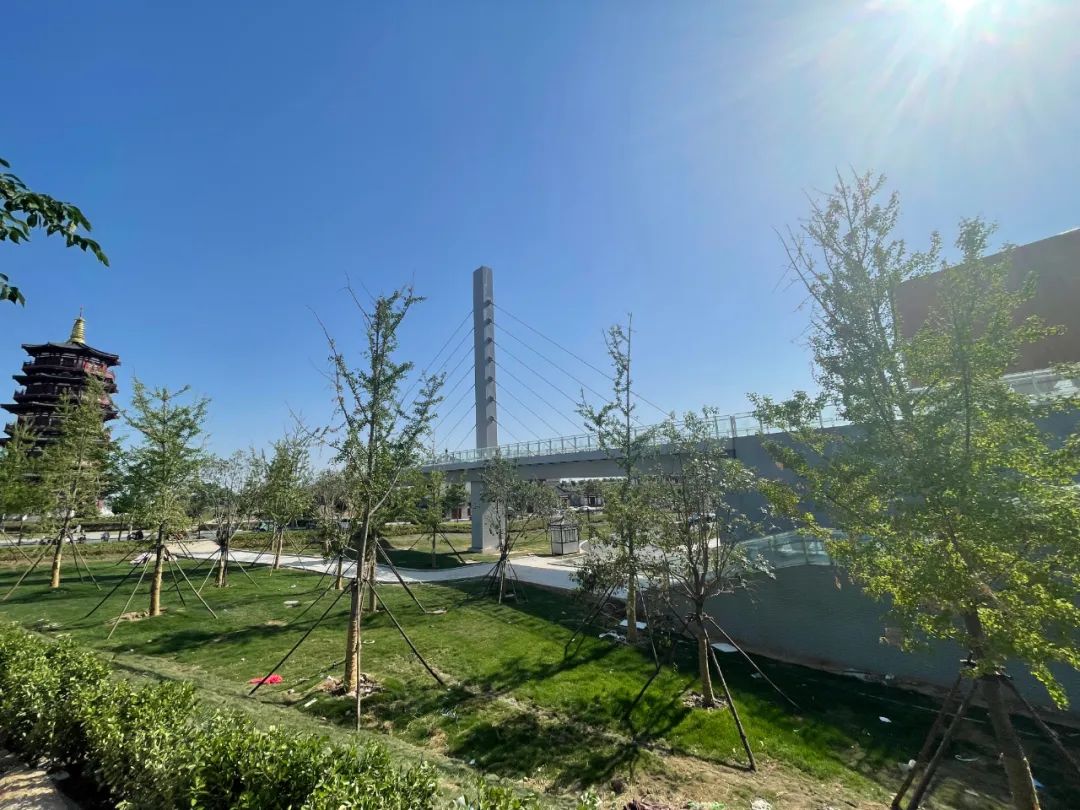 1653645486103642.jpg 1653645486103642.jpg