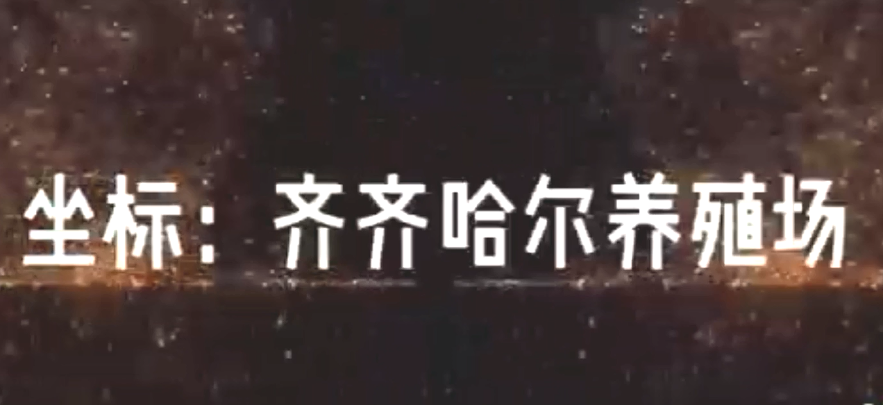 齊齊哈爾某養(yǎng)殖場案例現(xiàn)場